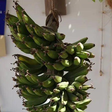 Tierra